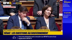 Nouveaux droits de douane américains: réunion demain à l'Élysée des "filières concernées" en France