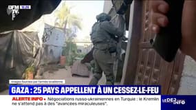 Gaza: 25 pays dont la France demandent la fin de la guerre