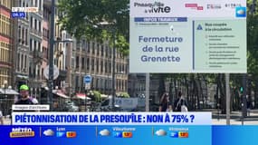 Métropole de Lyon: une majorité des habitants opposés aux projets urbains d'après un collectif