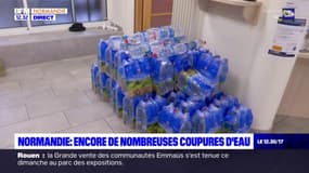 Tempête Ciaran: des coupures d'eau encore régulières en Normandie