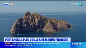 Var: à Port-Cros, la plus vieille aire marine protégée d'Europe "montre le futur"
