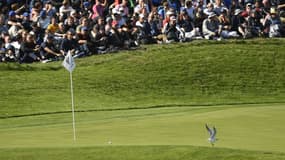 Golf, Saint-Quentin-en-Yvelines, le 30 septembre 2018