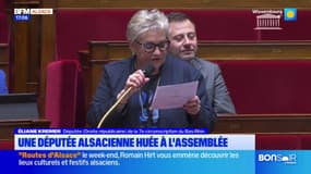 Alsace: une députée du Bas-Rhin huée à l'Assemblée Nationale lors du débat sur les retraites