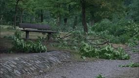 À Firminy, la tempête a fait de nombreux dégâts