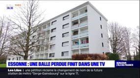 Essonne: une balle perdue finit dans une TV au cours d'une rixe