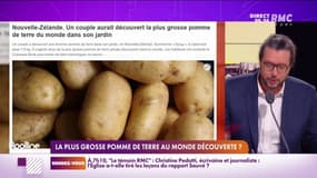 7,8 kilogrammes, c'est le poids de la plus grosse pomme de terre du monde