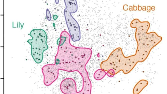 Osmo a conçu une carte des odeurs dont la base de données repose sur 5000 molécules issues de catalogues de parfums