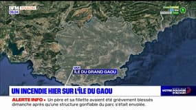 Incendie sur l'île du Grand Gaou: le feu désormais maîtrisé
