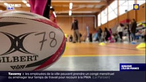 Yvelines: le JOP Tour fait découvrir les sports olympiques et paralympiques