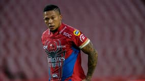 Elton Jantjies sous le maillot des Lions 