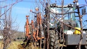 L'agriculture bio a le vent en poupe en France.