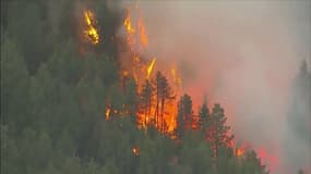 Des incendies ravagent des forêts du Colorado 