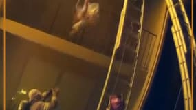 En Georgie, un pompier rattrape un enfant jeté d'un immeuble en feu