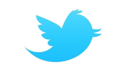 L'oiseau bleu, célèbre logo du réseau social Twitter.