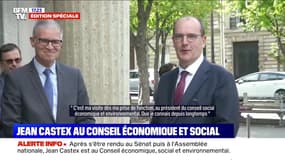 Jean Castex est au Conseil économique, social et environnemental après s'être rendu au Sénat et à l'Assemblée nationale