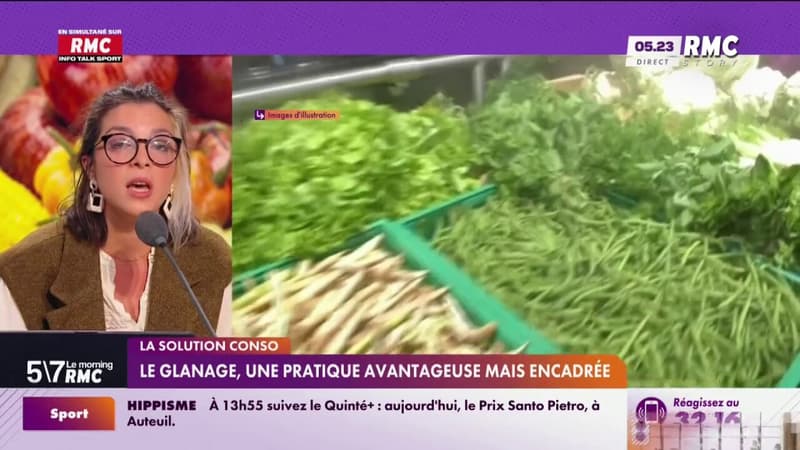 Solution Conso - Le glanage, une pratique avantageuse mais encadrée