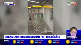Métropole de Lyon: les orages ont fait des dégâts
