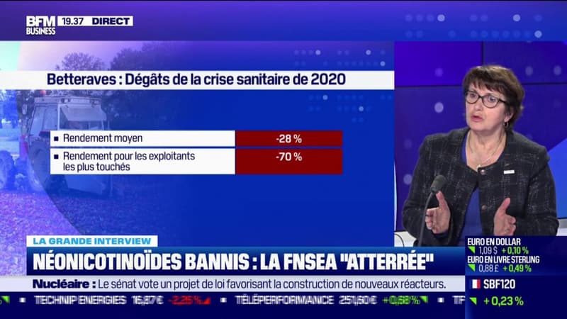 Néonicotinoïdes bannis, la FNSEA 