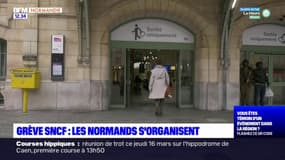 Réforme des retraites: les Normands s'organisent face à la grève SNCF