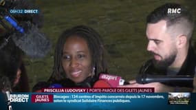 "Gilets jaunes": ce qu'ont dit les deux porte-paroles au Ministre de la Transition écologique