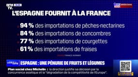 Après les inondations en Espagne, y a-t-il un risque de pénurie de fruits et légumes? BFMTV répond à vos questions