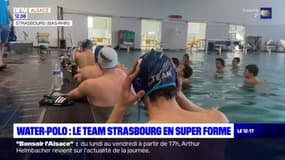 Water-polo: le team Strasbourg en super forme