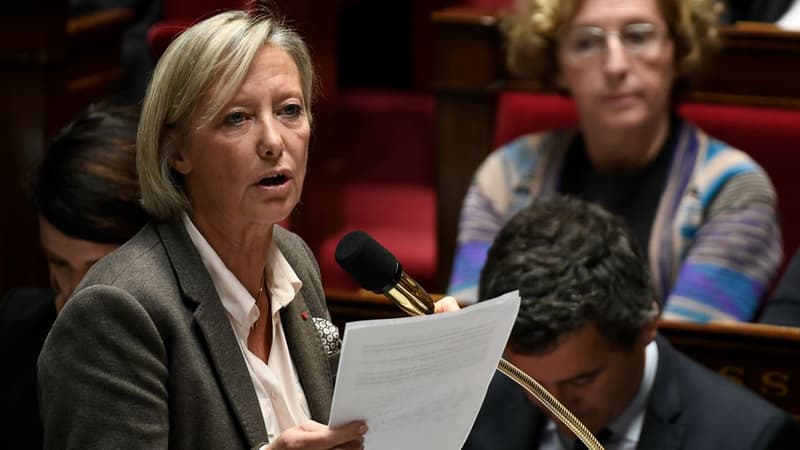 Sophie Cluzel, la secrétaire d'Etat en charge du Handicap, à l'Assemblée nationale le 14 novembre 2017.