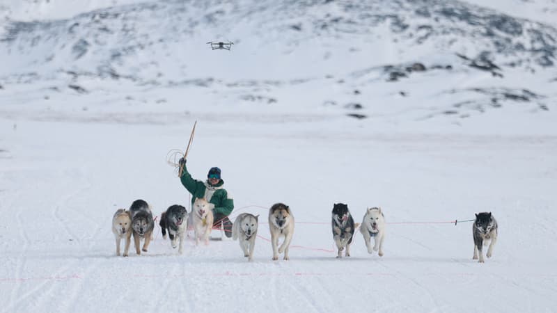 Groenland: l'envoyé spécial de Donald Trump désinvité à une course de chiens de traîneau