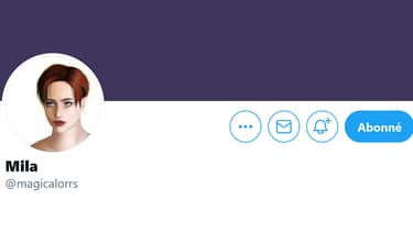Capture d'écran du compte Twitter de Mila