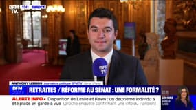 Retraites: la gauche au Sénat va présenter une motion référendaire