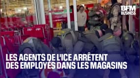  Les agents de l'ICE arrêtent des employés 
