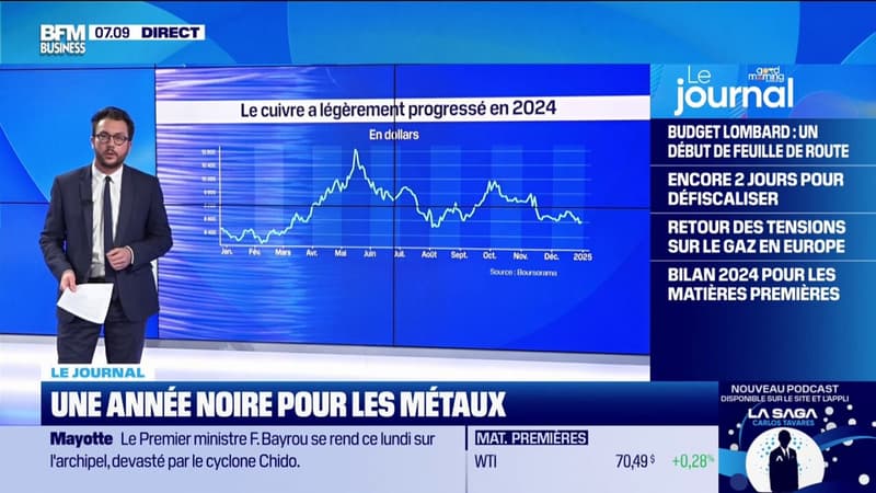 Bilan 2024 pour les matières premières