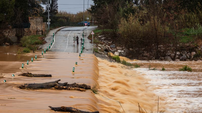 "Après la sécheresse, on est content de voir de l'eau": les images des crues dans les Pyrénées-Orientales