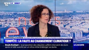 Tempête: la faute au changement climatique ? - 11/02