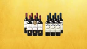 Le bon plan pour les fêtes c'est par ici : moins de 50 euros pour 12 bouteilles de vin de Bordeaux