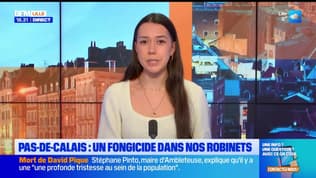 Bonsoir Lille du mercredi 28 janvier 2026