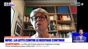 Marie-France Henry, présidente du centre national contre le bizutage, explique les interventions du centre