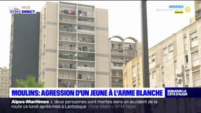 Nice: un jeune agressé à l'arme blanche aux Moulins 