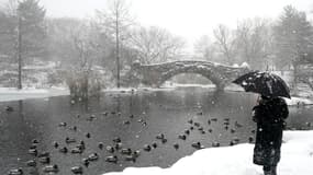 Neige à Central Park. 