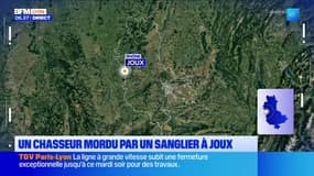 Rhône: un chasseur mordu par un sanglier à Joux