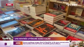 Une rentrée littéraire assez calme