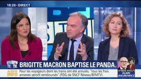 Brigitte Macron baptise le bébé panda