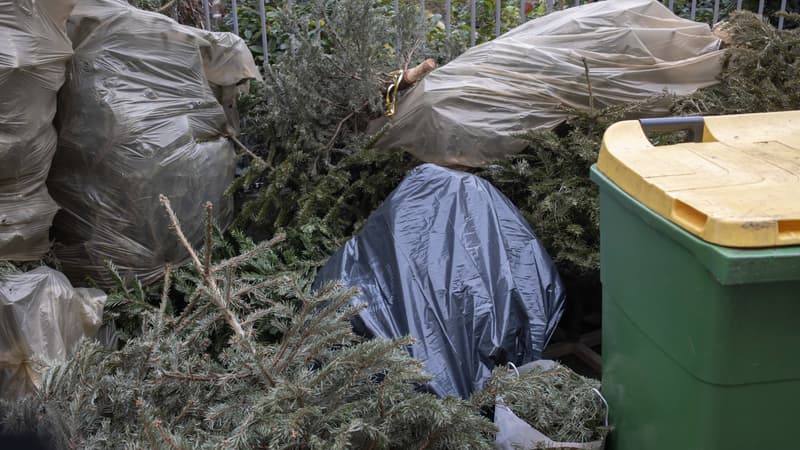 Ai-je le droit de jeter mon sapin de Noël dans la rue ou dans la nature?