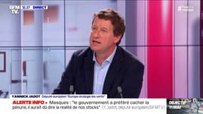 Yannick Jadot se dit "pour" le sauvetage d'Air France-KLM