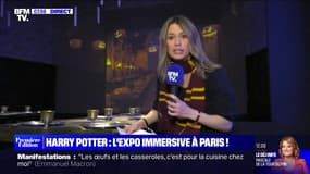 Harry Potter, l'expo immersive à Paris - 21/04