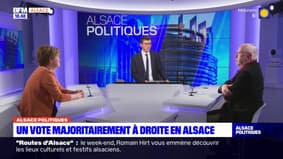 Alsace Politiques: une majorité écrasante de députés macronistes en Alsace