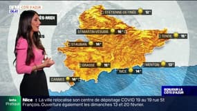 Météo Côte d'Azur: un beau soleil au programme ce jeudi, 14°C à Nice