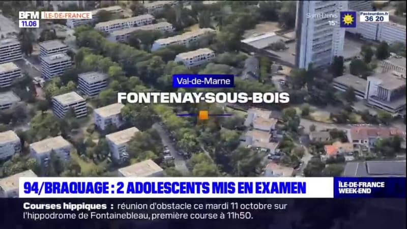 Val-de-Marne: deux adolescents mis en examen après le braquage d'une bijouterie Histoire d'Or de Fontenay-sous-Bois