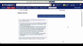 Le nouvel Assistant Achat de la la marketplace Manomano