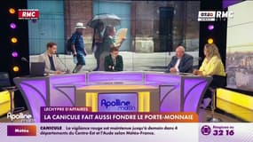 Deux canicules en 2025 : un coup dur pour l’économie française